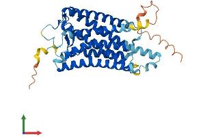 AlphaFold protein structure predicition of Human Recombinant OPN5 Protein, UniprotID Q6U736 (OPN5 Protein (AA 1-354) (His tag))