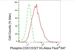 Flow cytometric analysis of Phospho-CDK1/2/3 (T14) expression in HepG2 cells using Phospho-CDK1/2/3 (T14) antibody (ABIN7797995), 1:2,000). (Recombinant CDK1/2/3 (pThr14) antibody)