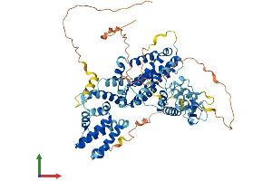 AlphaFold protein structure predicition of Mouse Recombinant Rasgrp4 Protein, UniprotID Q8BTM9 (RASGRP4 Protein (AA 1-673) (His tag))