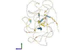 AlphaFold protein structure predicition of Human Recombinant DACT1 Protein, UniprotID Q9NYF0 (DACT1 Protein (AA 1-836) (His tag))