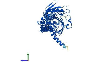 AlphaFold protein structure predicition of Human Recombinant ASS1 Protein, UniprotID P00966 (ASS1 Protein (AA 1-412) (His tag))