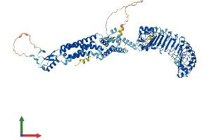Protein Structure (PS) image for Leucine Rich Repeat Containing 8 Family, Member A (LRRC8A) (AA 1-810) protein (His tag) (ABIN7554441)