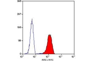 Staining of human peripheral blood granulocytes with MOUSE ANTI HUMAN CD62L:FITC (ABIN118761). (L-Selectin antibody  (FITC))