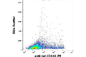 Flow cytometry surface staining pattern of rat splenocyte suspension stained using anti-rat CD161 (10/78) PE antibody (concentration in sample 1 μg/mL).