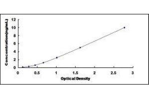 Chemokine (C-X-C Motif) Receptor 3 (CXCR3) ELISA Kit