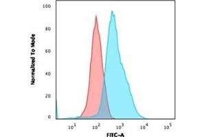 Flow Cytometric Analysis of PFA-fixed HeLa cells. (Annexin a1 antibody)