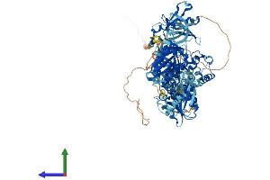 AlphaFold protein structure predicition of Human Recombinant ERVK-19 Protein, UniprotID Q9WJR5 (ERVK-19 Protein (AA 1-959) (His tag))