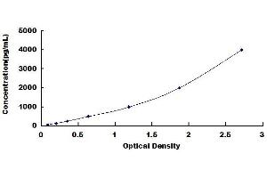 Typical standard curve (PINP ELISA Kit)