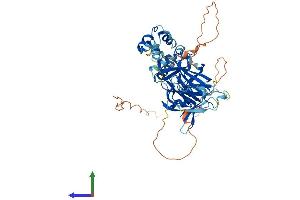 Protein Structure (PS) image for Transcription Factor CP2 (TFCP2) (AA 1-502) protein (His tag) (ABIN7561427)