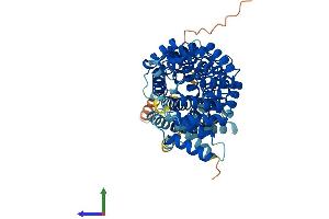 AlphaFold protein structure predicition of Mouse Recombinant Ttc39c Protein, UniprotID Q8VE09 (TTC39C Protein (AA 1-580) (His tag))