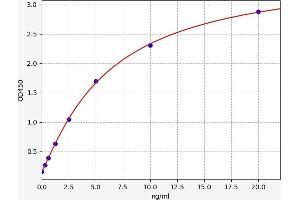 Typical standard curve (CRY1 ELISA Kit)
