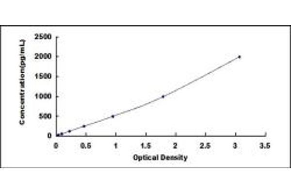 MASP2 ELISA Kit