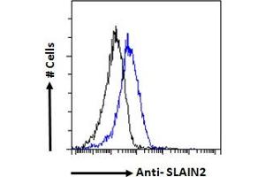 ABIN570761 Flow cytometric analysis of paraformaldehyde fixed NIH3T3 cells (blue line), permeabilized with 0. (SLAIN2 antibody  (Internal Region))