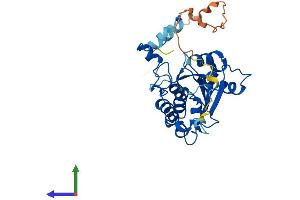 AlphaFold protein structure predicition of Mouse Recombinant Dtwd2 Protein, UniprotID Q9D0U1 (DTWD2 Protein (AA 1-298) (His tag))