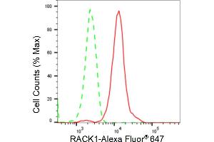 Flow cytometric analysis of RACK1 expression in HepG2 cells using RACK1 antibody (ABIN7798819), 1:2,000).