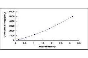 Growth Differentiation Factor 5 (GDF5) ELISA Kit