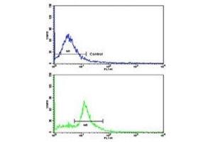 Flow cytometric analysis of MDA-231 cells using Caspase-9 antibody (bottom histogram) compared to a negative control cell (top histogram). (Caspase 9 antibody  (Ser196))