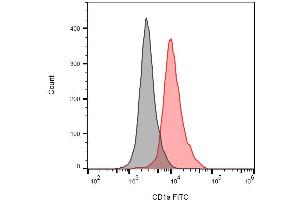 Detection of human CD1a on the surface of MOLT-4 cells (compared with blank) using anti-human CD1a (HI149) FITC. (CD1a antibody  (FITC))