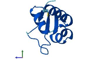 AlphaFold protein structure predicition of Human Recombinant ABRACL Protein, UniprotID Q9P1F3
