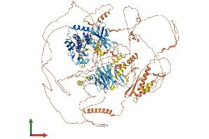 AlphaFold protein structure predicition of Mouse Recombinant Nrk Protein, UniprotID Q9R0G8