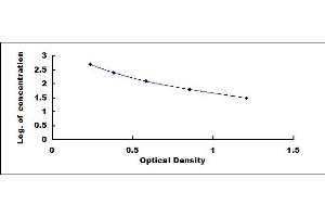 Typical standard curve (FGF13 ELISA Kit)