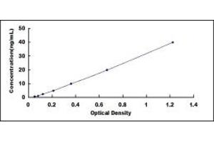 Typical standard curve (MTR ELISA Kit)