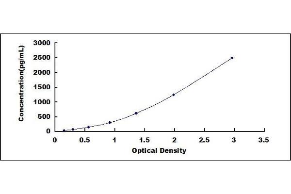 NT-ProBNP ELISA Kit