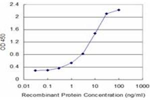 Detection limit for recombinant GST tagged VASN is approximately 0. (Vasn antibody  (AA 298-349))