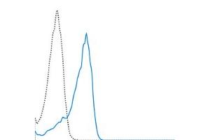 bEnd-3 cells were stained with 0. (VEGFR2/CD309 antibody  (PerCP-Cy5.5))