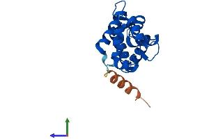AlphaFold protein structure predicition of Mouse Recombinant Cetn3 Protein, UniprotID O35648