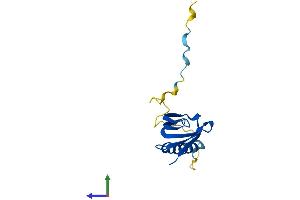 Protein Structure (PS) image for Gem (Nuclear Organelle) Associated Protein 7 (GEMIN7) (AA 1-129) protein (His tag) (ABIN7560695)
