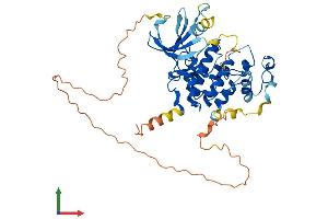 AlphaFold protein structure predicition of Mouse Recombinant Cdk15 Protein, UniprotID Q3V3A1
