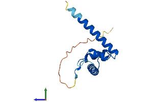 AlphaFold protein structure predicition of Mouse Recombinant Taf13 Protein, UniprotID P61216