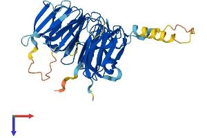 RCC1 Domain Containing 1 (RCCD1) (AA 1-376) protein (His tag)