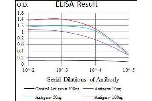 Black line: Control Antigen (100 ng), Purple line: Antigen(10 ng), Blue line: Antigen (50 ng), Red line: Antigen (100 ng), (DNAL4 antibody  (AA 1-105))