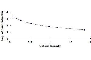 Typical standard curve (BNP ELISA Kit)