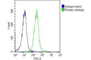 Overlay histogram showing Hela cells stained with (ABIN6244301 and ABIN6578675) (green line). (alpha Tubulin antibody  (AA 408-439))