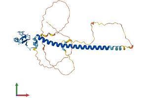 Protein Structure (PS) image for Ring Finger Protein 212 (RNF212) (AA 1-307) protein (His tag) (ABIN7562143)