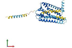 AlphaFold protein structure predicition of Human Recombinant OR5T3 Protein, UniprotID Q8NGG3 (OR5T3 Protein (AA 1-340) (His tag))