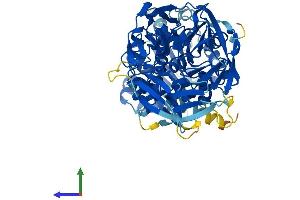 Protein Structure (PS) image for Leucine Carboxyl Methyltransferase 2 (LCMT2) (AA 1-686) protein (His tag) (ABIN7555892)