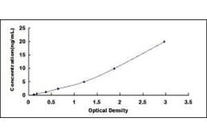 Typical standard curve (PCDH20 ELISA Kit)