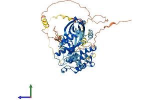 Protein Structure (PS) image for serine threonine Kinase 39 (STK39) (AA 1-556) protein (His tag) (ABIN7556395)