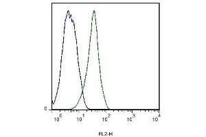 Stabilin 2 (STAB2) (AA 2201-2300) antibody