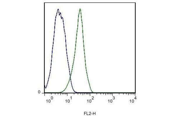 Stabilin 2 (STAB2) (AA 2201-2300) antibody