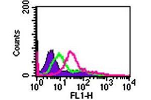 Cell-surface flow cytometry analysis of IL24 in Jurkat cells. (IL-24 antibody  (AA 100-150))