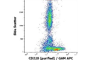 Flow cytometry surface staining pattern of human peripheral blood stained using anti-human CD229 (HLy9. (LY9 antibody)