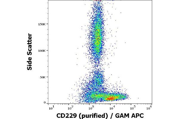 LY9 antibody