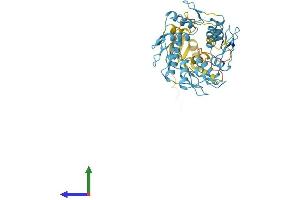 Protein Structure (PS) image for Zinc Finger Protein 355, Pseudogene (ZNF355P) (AA 1-428) protein (His tag) (ABIN7545221)