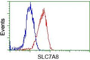 Flow cytometric Analysis of Jurkat cells, using anti-SLC7A8 antibody(TA500632),(Red), compared to a nonspecific negative control antibody,(Blue). (SLC7A8 antibody)