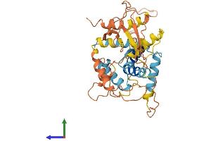 AlphaFold protein structure predicition of Human Recombinant CCNYL3 Protein, UniprotID P0C7X3 (CCNYL3 Protein (AA 1-344) (His tag))